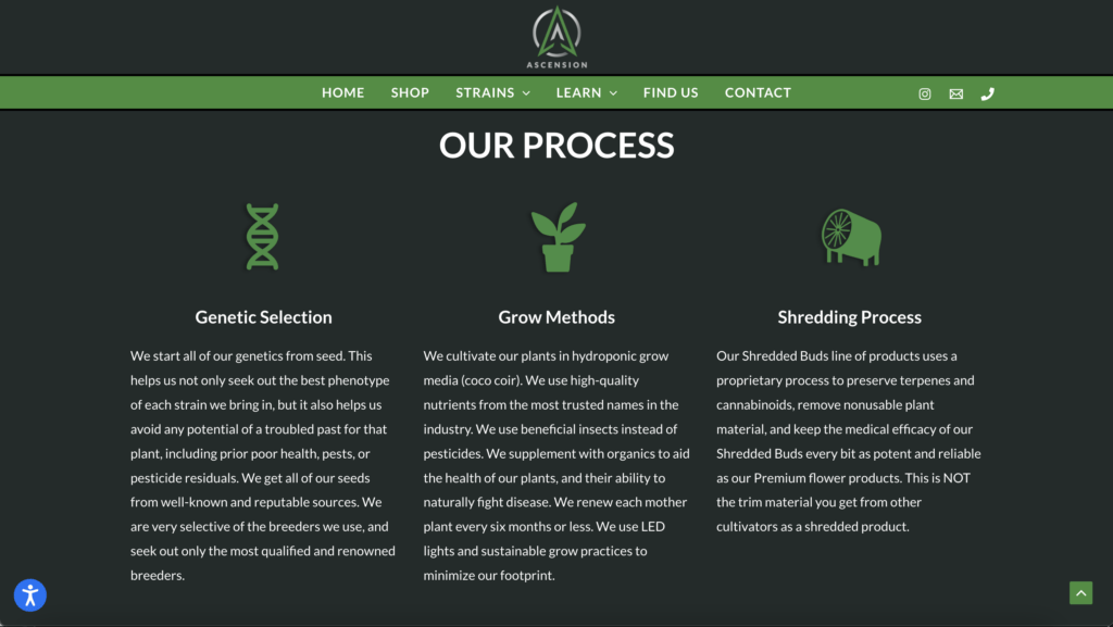 Ascension About Us Process Page Example